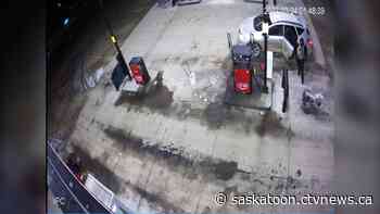 Sask. RCMP looking for suspects after several guns stolen from store