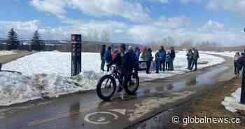 Calgarians want congestion, off-leash issues addressed in Weaselhead, Glenmore parks plan