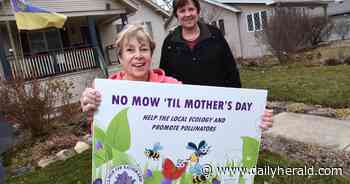 Why some suburban communities are holding off on mowing until Mother's Day