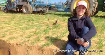 Drilling into deep ripping and weeds