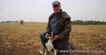 Riverina farmers 'go mad' as autumn rains kick off sowing season