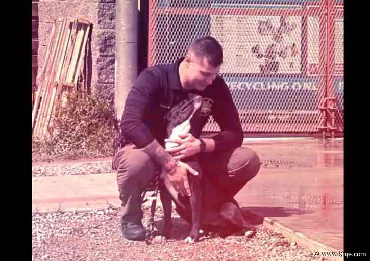 Bernalillo County Sheriff's Office personnel visit sheltered animals