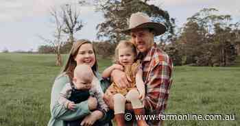 Low-cost automated drafting system halves dairy labour at joining