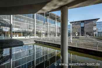 Von Wünschen an ein Geburtstagskind