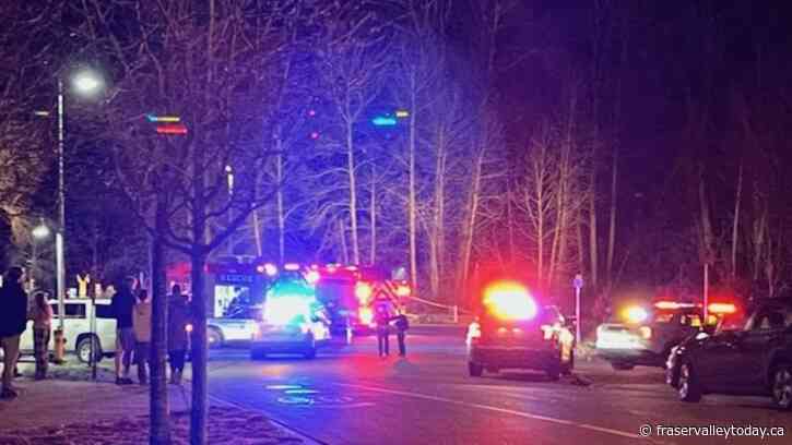 Chilliwack RCMP, ambulance personnel converge on Peach Park for police incident Saturday night