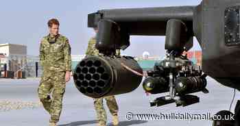 Prince Harry inspires sculpture filled with human blood  donated by Afghans