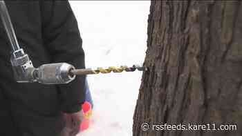 Make the most of maple syrup season
