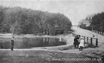 How Loughton Pond in Staples Road looked at start of last century