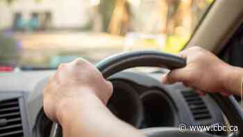 From drawing to driving, Adam Gopnik explores what it takes to master a new skill