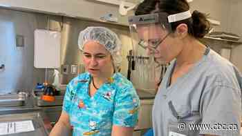 How an autism diagnosis helped this resident doctor find her place in medicine