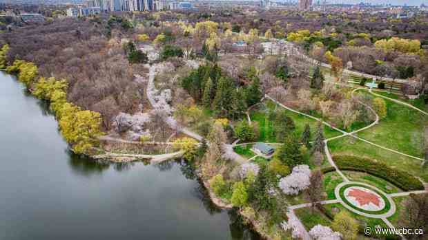 Toronto set to decide on fate of High Park: Will cars be kicked to the curb?