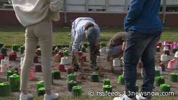 Norfolk students plant 1,000 native plants to help reduce flooding at Sherwood Elementary