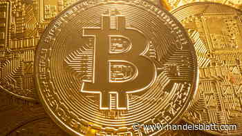 Kryptowährungen: Bitcoin auf einem „absoluten Höhenflug“ – doch US-Regulierer sorgen für Skepsis