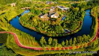 As flooding increases, these cities are designed to work with -- not against -- the water. Here's how