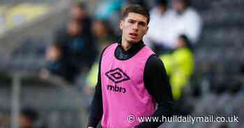 New arrival makes intriguing Hull City and Chelsea comparison