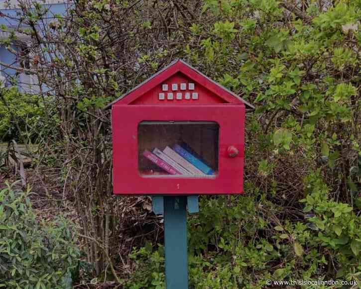 A Novel Idea- Matilda Brown Townley Grammar School