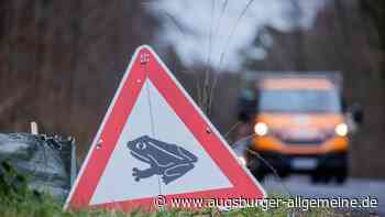 Augsburg warnt: Vorsicht vor wandernden Fröschen und Kröten
