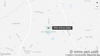 Tiger 'unaccounted' for at Georgia safari park after storms, police say