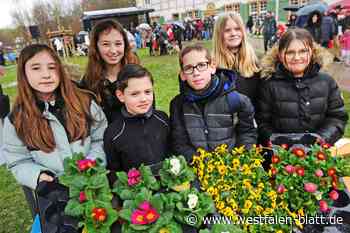 Trotz Matsch und Regen: Narzissenfest lockt die Menschen an die Werburg