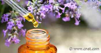 Dry Scalp? Give One of These 9 Natural Remedies a Try     - CNET