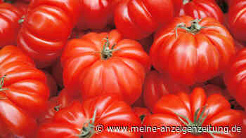 Inkontinenz und Blasenschwäche: 10 Gemüsesorten können Harndrang verstärken