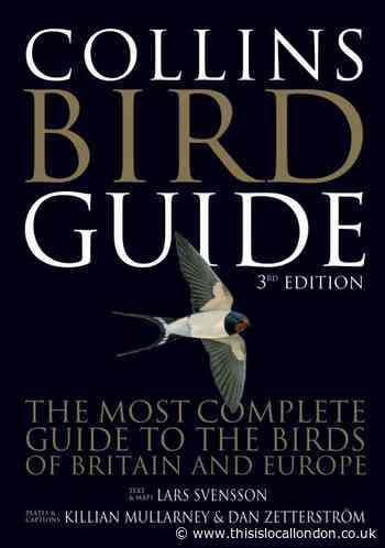 Wild Things: Bird guide reaches new heights