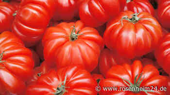 Inkontinenz und Blasenschwäche: 10 Gemüsesorten können Harndrang verstärken