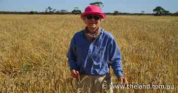 Triticale not a fringe crop