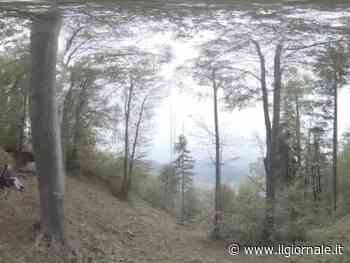 A Milano la compagnia Mammalian con “The last Minutes before Mars”