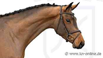 Holsteiner Frühjahrsauktion: 180.000 Euro für die Preisspitze