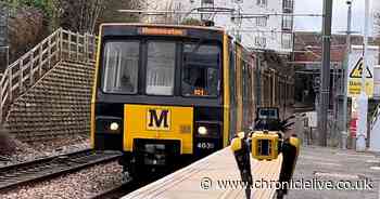 Robot dog Bernard leaves commuters stunned while travelling from Sunderland to Newcastle on the Metro