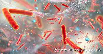 New drug promises to squash hospital superbugs