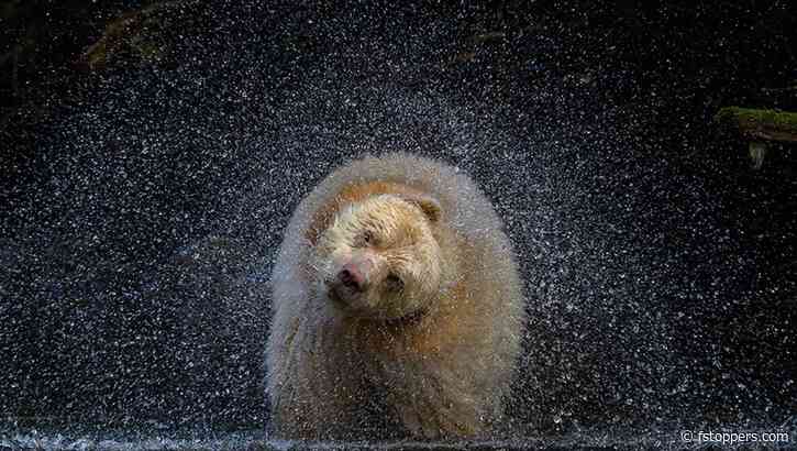 Giving Back As a Photographer: An Interview with Michelle Valberg