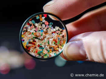 Erste vergleichende Untersuchung zu automatisierten Analyseverfahren großer Datensätze in der Mikroplastik-Forschung