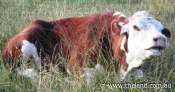 Livestock news in brief