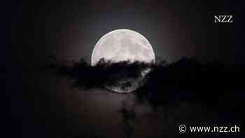 KOLUMNE - Schlaflos bei Vollmond