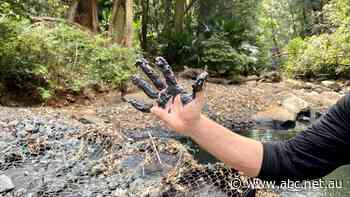 NSW Greens call on Labor to close historic coal mine