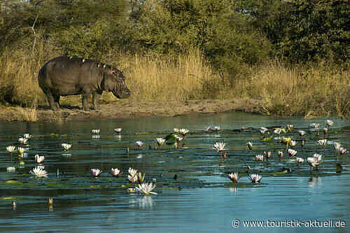 Diamir lädt zu Famtrips ein