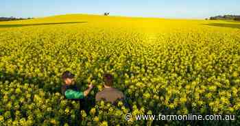Nitrogen program to cut fert emissions in canola
