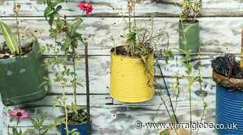 'Zero-waste' blueprint is backed by Wirral Council