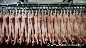 Votum: Betriebsschließungen: Land erstattet keine Lohnzahlung