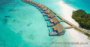 Company will pay amateur photographer almost £3,000 to travel to the Maldives