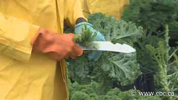 Migrant workers deserve to know how their info is used when their productivity is tracked: union