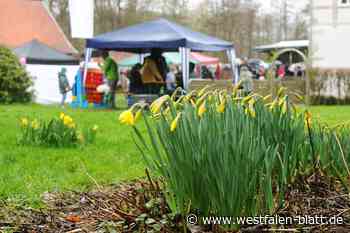 Narzissenfest: Organisatoren ziehen positives Fazit