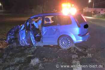 Trunkenheitsfahrt endet am Baum
