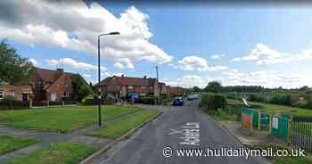 Pack of five dogs mauls little girl while she was playing in the street