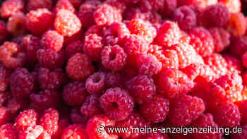 Osteoporose: 10 Lebensmittel, die Ihren Knochen gut tun