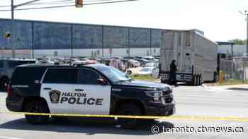 Trucker pleads guilty to careless driving in 2020 death of activist outside pig slaughterhouse