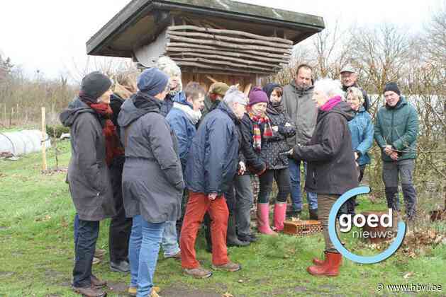 Natuurliefhebbers leren insectenhotels bouwen