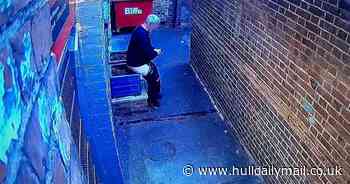 Man caught on camera defecating in flower planter